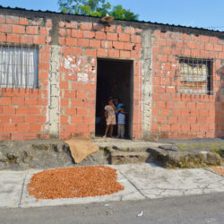 Secando Cacao en el patio | Tapipa. Estado Miranda | Venezuela | Foto: Cyntia Iradi