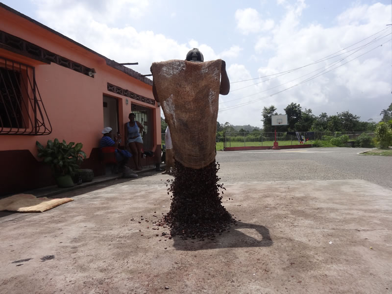 Drying Cacao | Tapipa. Miranda State | Venezuela | Image: Victoria Mata